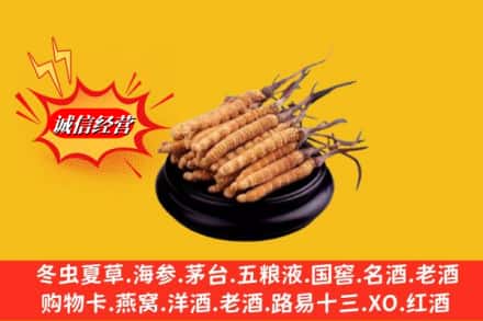 柳南区求购回收虫草多少钱每克